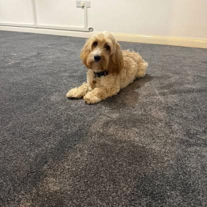 Kieron Quintrell, Master Carpet Fitter